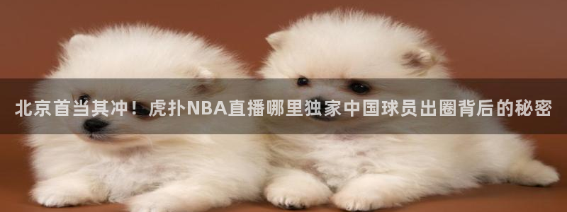 北京首当其冲！虎扑NBA直播哪里独家中国球员出圈背后的秘密