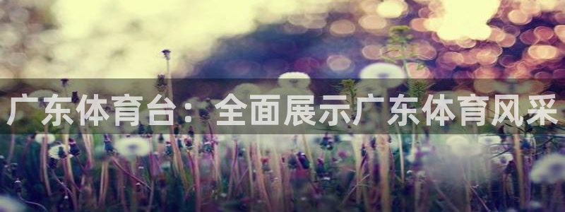 广东体育台：全面展示广东体育风采