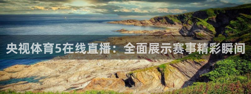央视体育5在线直播：全面展示赛事精彩瞬间
