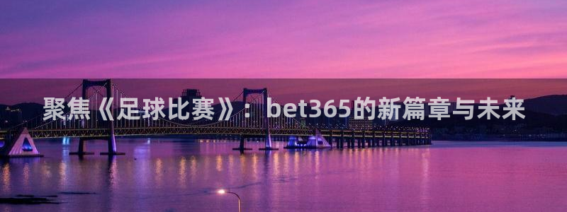 聚焦《足球比赛》：bet365的新篇章与未来