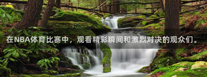 在NBA体育比赛中，观看精彩瞬间和激烈对决的观众们。