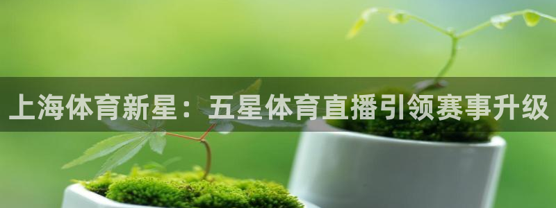上海体育新星：五星体育直播引领赛事升级