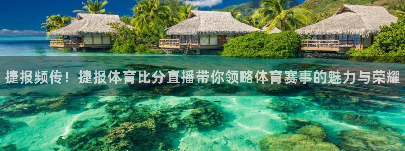 捷报频传！捷报体育比分直播带你领略体育赛事的魅力与荣耀