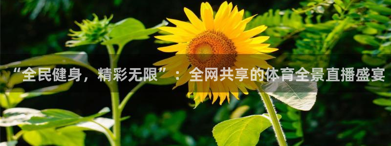 “全民健身，精彩无限”：全网共享的体育全景直播盛宴