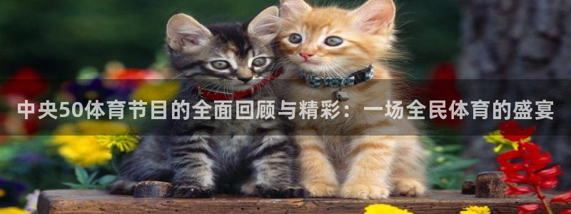 中央50体育节目的全面回顾与精彩：一场全民体育的盛宴